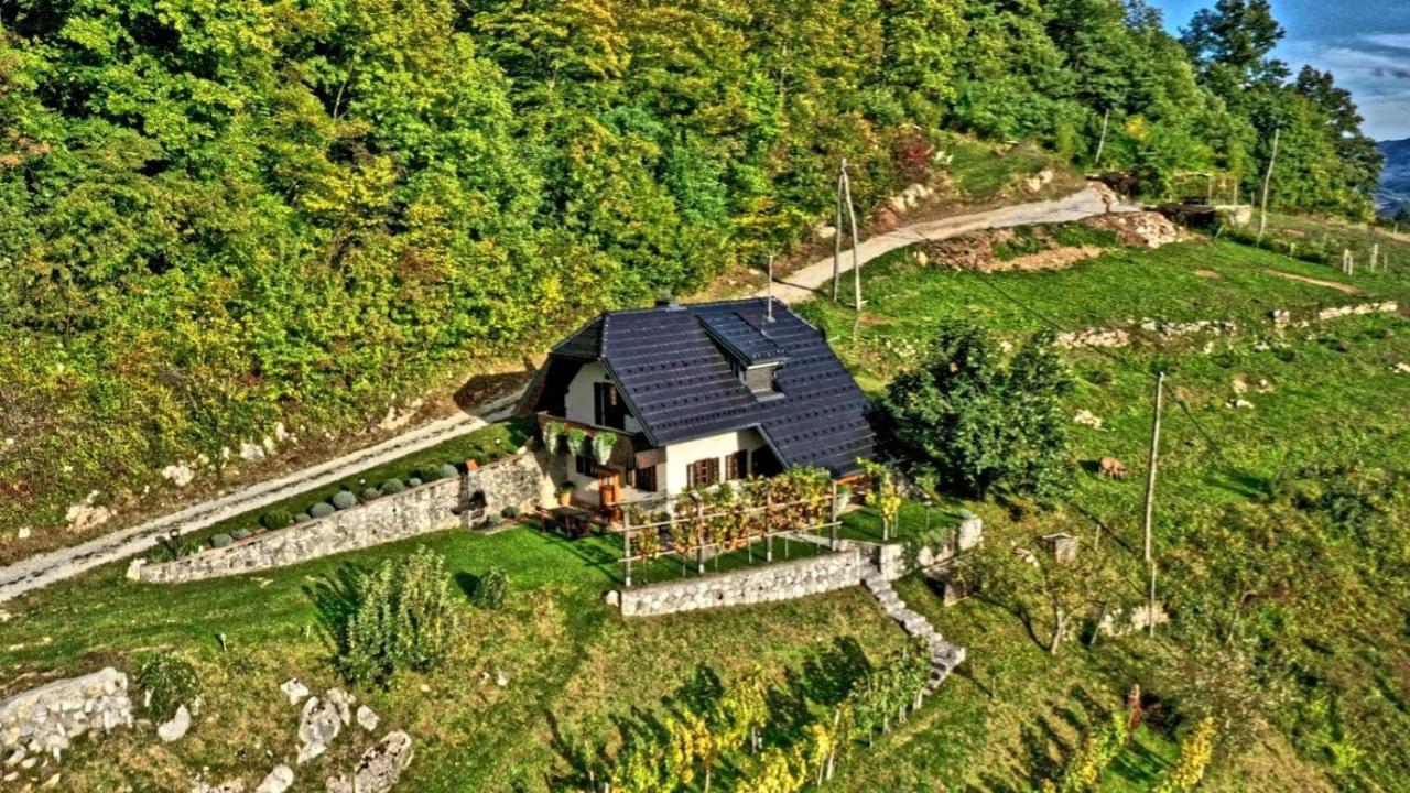 Vineyard Cottage Podrzaj Otočec Eksteriør bilde